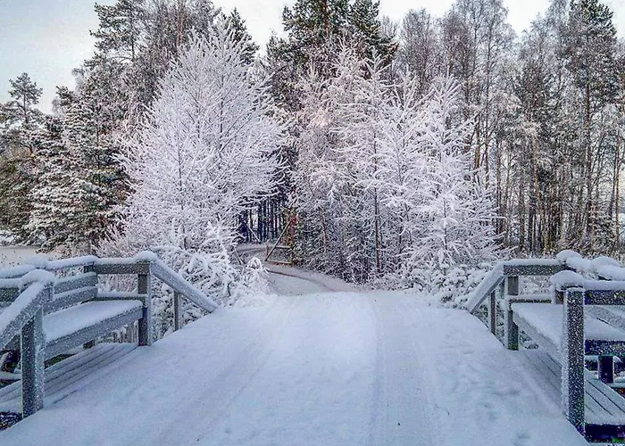 Semesterbostad Niinimoekki By Interhome